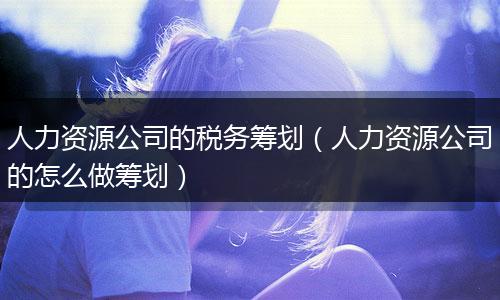 人力资源公司的税务筹划（人力资源公司的怎么做筹划）