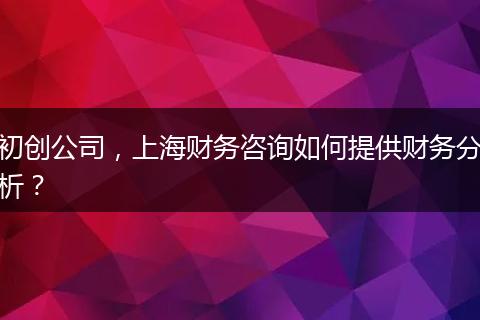 初创公司，上海财务咨询如何提供财务分析？