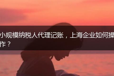 小规模纳税人代理记账，上海企业如何操作？