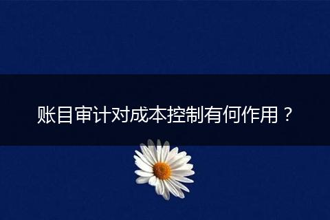 账目审计对成本控制有何作用？