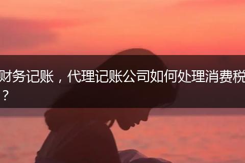 财务记账，代理记账公司如何处理消费税？