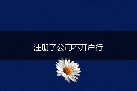 注册了公司不开户行