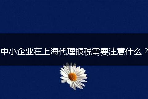 中小企业在上海代理报税需要注意什么？