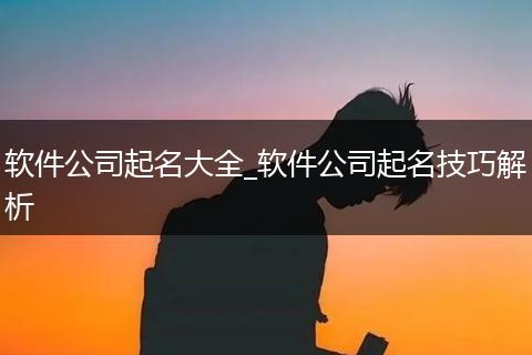 软件公司起名大全_软件公司起名技巧解析