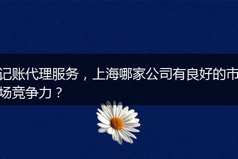记账代理服务，上海哪家公司有良好的市场竞争力？