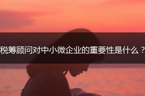 税筹顾问对中小微企业的重要性是什么？
