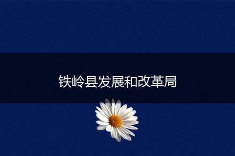 铁岭县发展和改革局