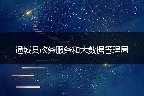 通城县政务服务和大数据管理局