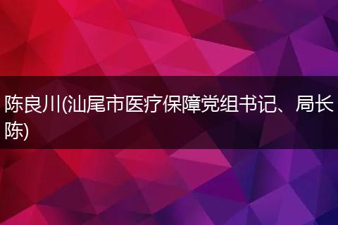 陈良川(汕尾市医疗保障党组书记、局长陈)