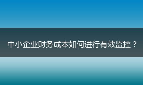 中小企业财务成本如何进行有效监控？