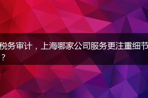 税务审计，上海哪家公司服务更注重细节？