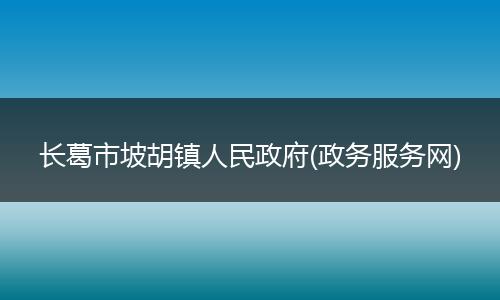 长葛市坡胡镇人民政府(政务服务网)
