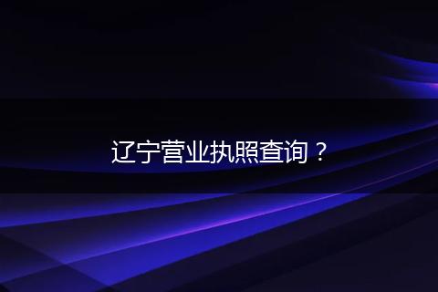 辽宁营业执照查询？