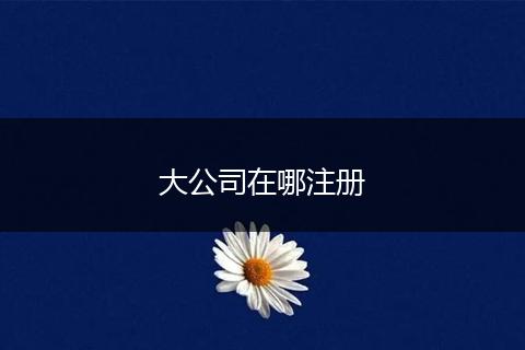 大公司在哪注册