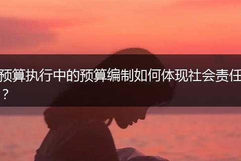 预算执行中的预算编制如何体现社会责任？