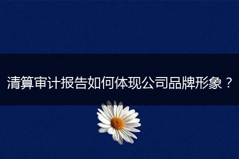 清算审计报告如何体现公司品牌形象？