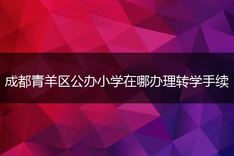 成都青羊区公办小学在哪办理转学手续