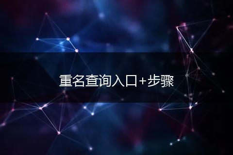 重名查询入口+步骤