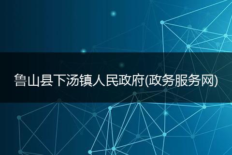 鲁山县下汤镇人民政府(政务服务网)