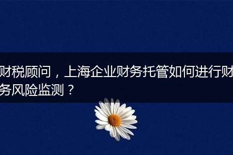 财税顾问，上海企业财务托管如何进行财务风险监测？