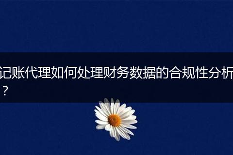 记账代理如何处理财务数据的合规性分析？