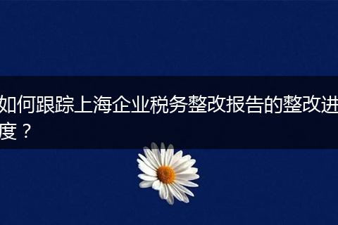 如何跟踪上海企业税务整改报告的整改进度？
