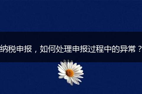 纳税申报，如何处理申报过程中的异常？
