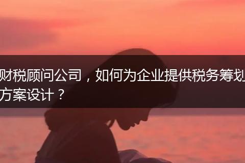 财税顾问公司，如何为企业提供税务筹划方案设计？