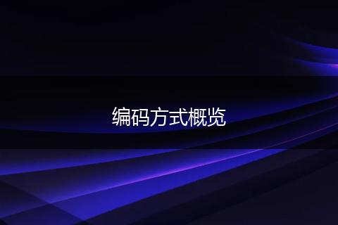 编码方式概览