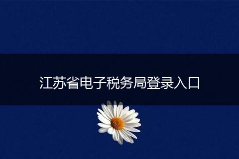 江苏省电子税务局登录入口