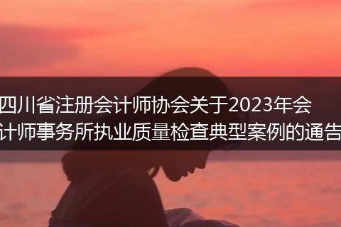 四川省注册会计师协会关于2023年会计师事务所执业质量检查典型案例的通告