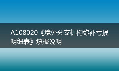 A108020《境外分支机构弥补亏损明细表》填报说明