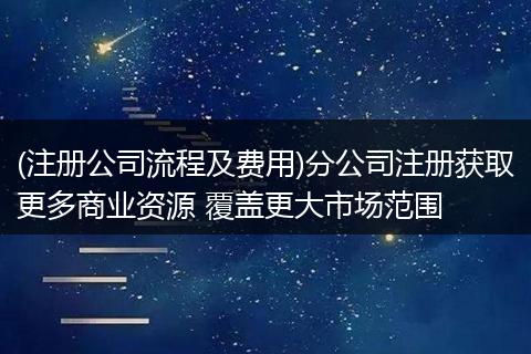 (注册公司流程及费用)分公司注册获取更多商业资源 覆盖更大市场范围