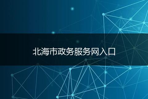 北海市政务服务网入口