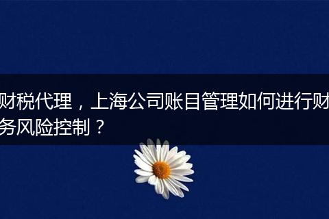 财税代理，上海公司账目管理如何进行财务风险控制？