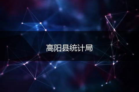 高阳县统计局