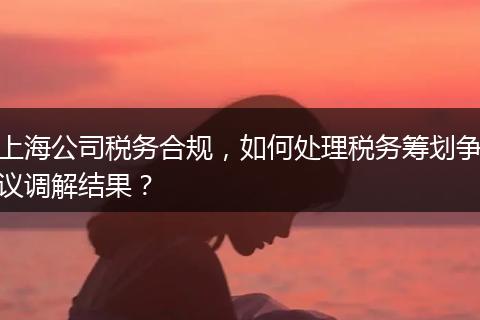 上海公司税务合规，如何处理税务筹划争议调解结果？