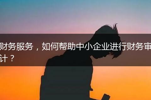 财务服务，如何帮助中小企业进行财务审计？