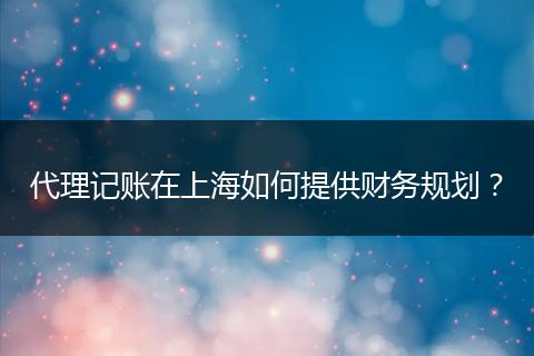 代理记账在上海如何提供财务规划？