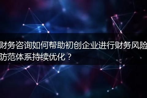 财务咨询如何帮助初创企业进行财务风险防范体系持续优化？