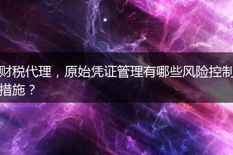 财税代理，原始凭证管理有哪些风险控制措施？