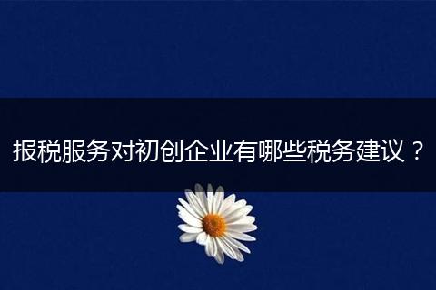 报税服务对初创企业有哪些税务建议？
