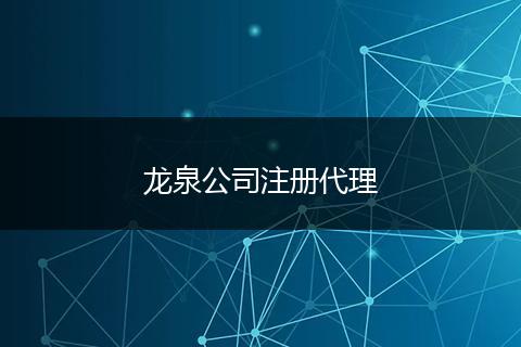 龙泉公司注册代理