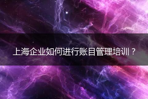 上海企业如何进行账目管理培训？