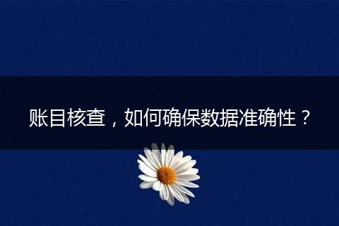 账目核查，如何确保数据准确性？