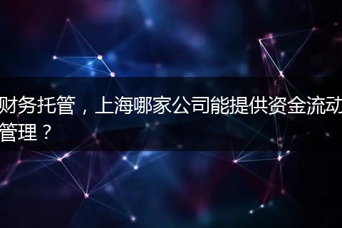 财务托管，上海哪家公司能提供资金流动管理？