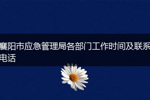 襄阳市应急管理局各部门工作时间及联系电话