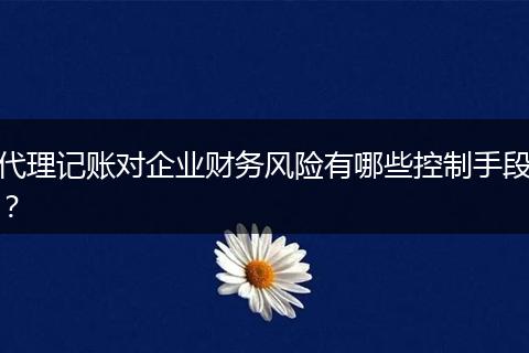 代理记账对企业财务风险有哪些控制手段?