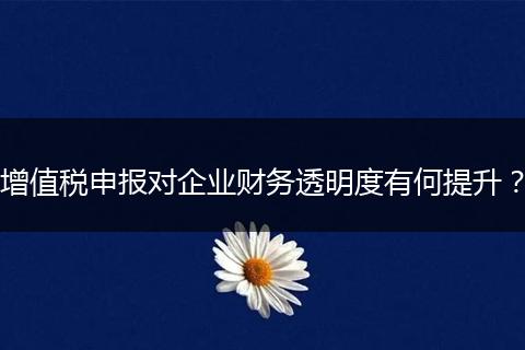 增值税申报对企业财务透明度有何提升？
