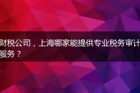 财税公司，上海哪家能提供专业税务审计服务？